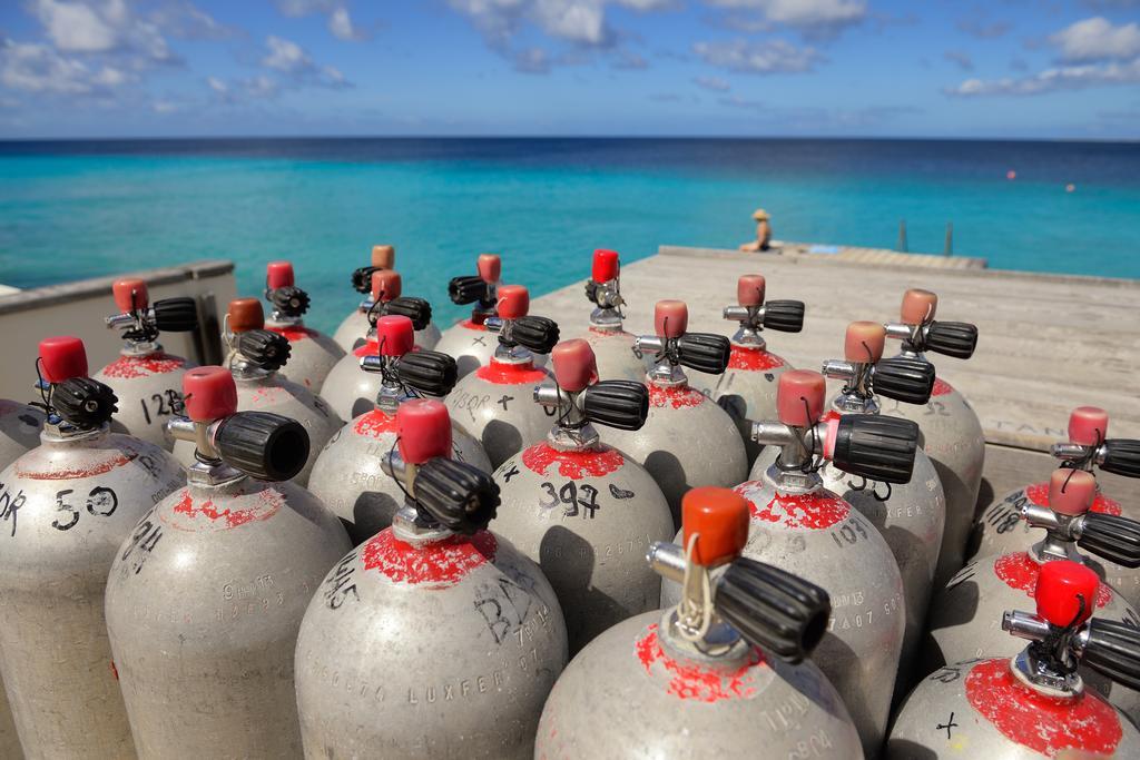贝尔马尔海滨公寓式酒店 Bonaire 外观 照片